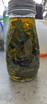oregano i łodygi młodego czosnku w buteleczce zalane oliwą
