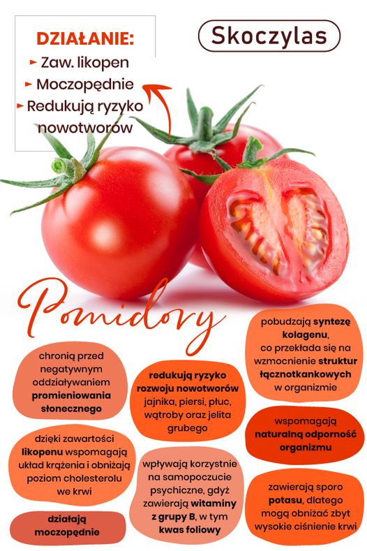 nadążamy za naturą, infografika o właściwościach pomidory