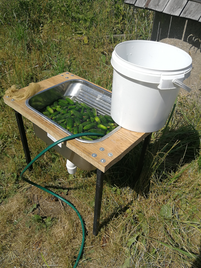 letnia kuchnia, wykorzystanie „szarej wody”, zlewozmywak ustawiony na trawie, woda z mycia ogórków jest spuzczana do rowka chłonnego w pobliżu studni