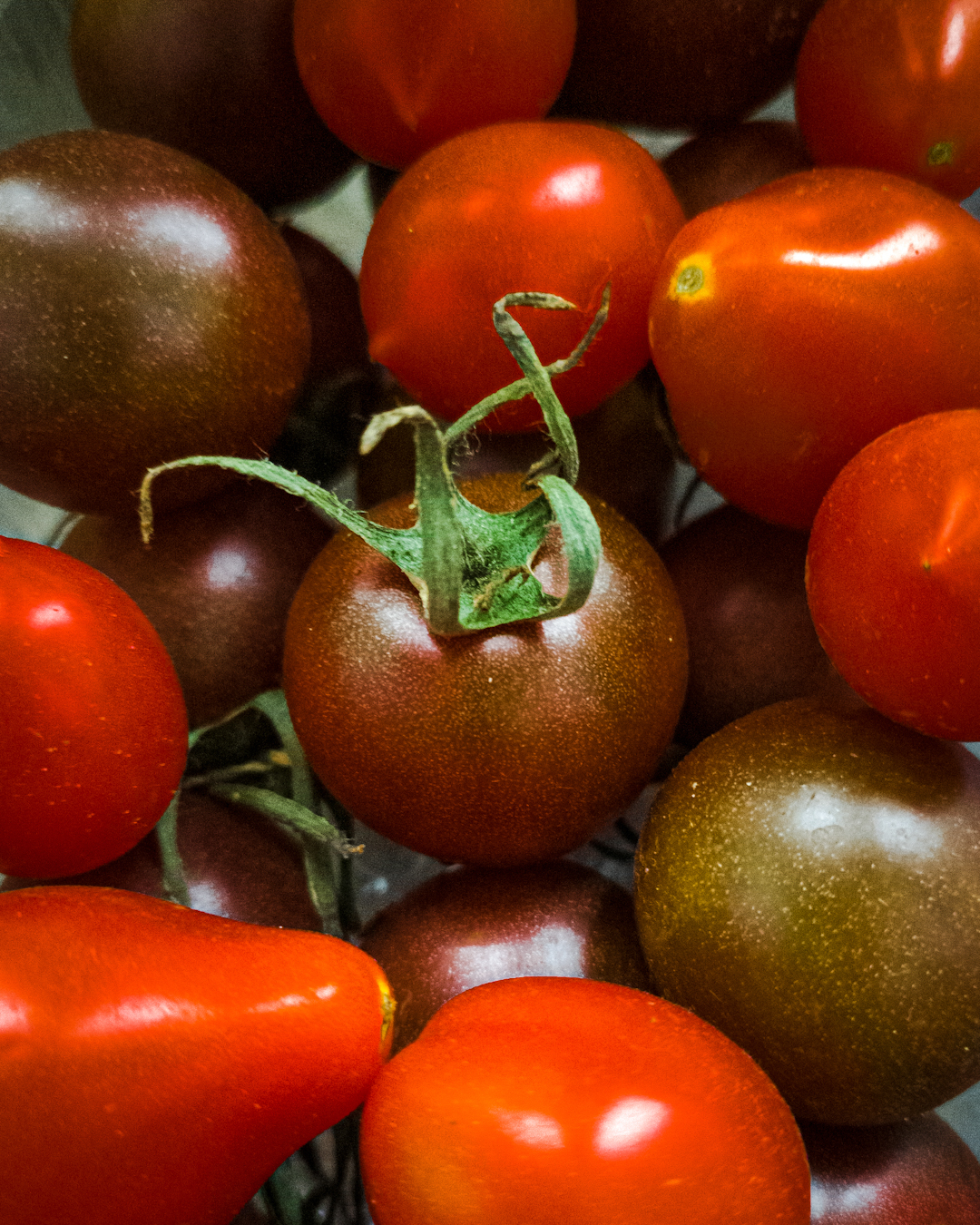 nadążamy za naturą fotografując pomidory koktajlowe w różnych odcieniach