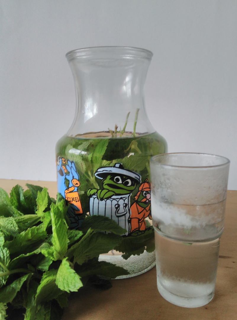 szklana butelka z nadrukiem w bohaterów Ulicy Sezamkowej wypełniona płynem w którym moczą się gałązki ziół, z lewej strony bukiet melisy, z drugiej oszroniona szklanka