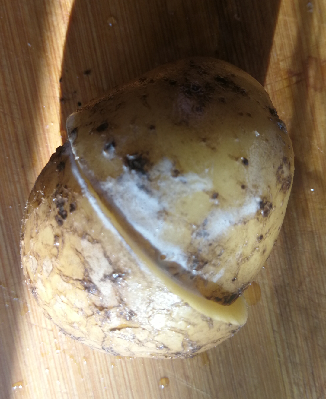 ziemniak przekrojony na pół i złączony, na połączeniu widoczna skrobia